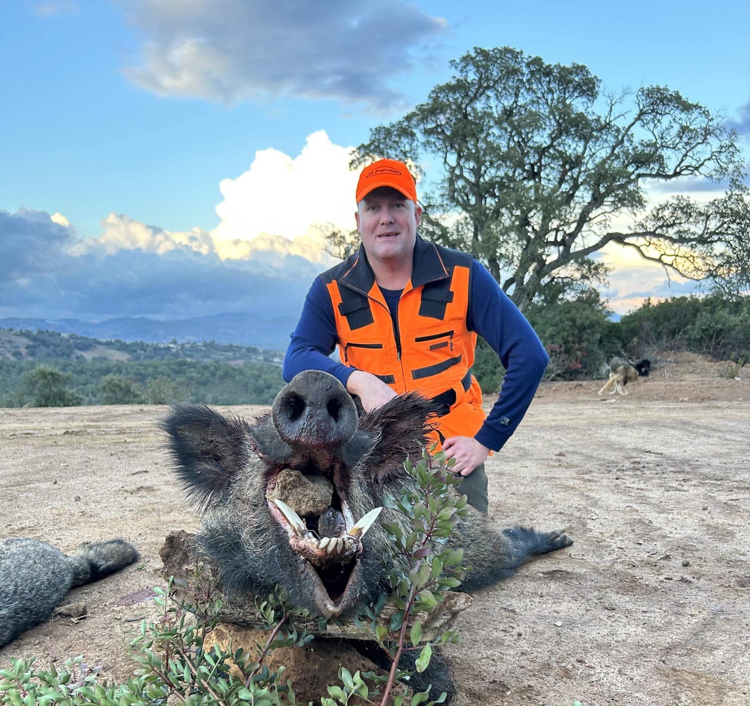 8.-13. November 2026 - 2 pladser ledig