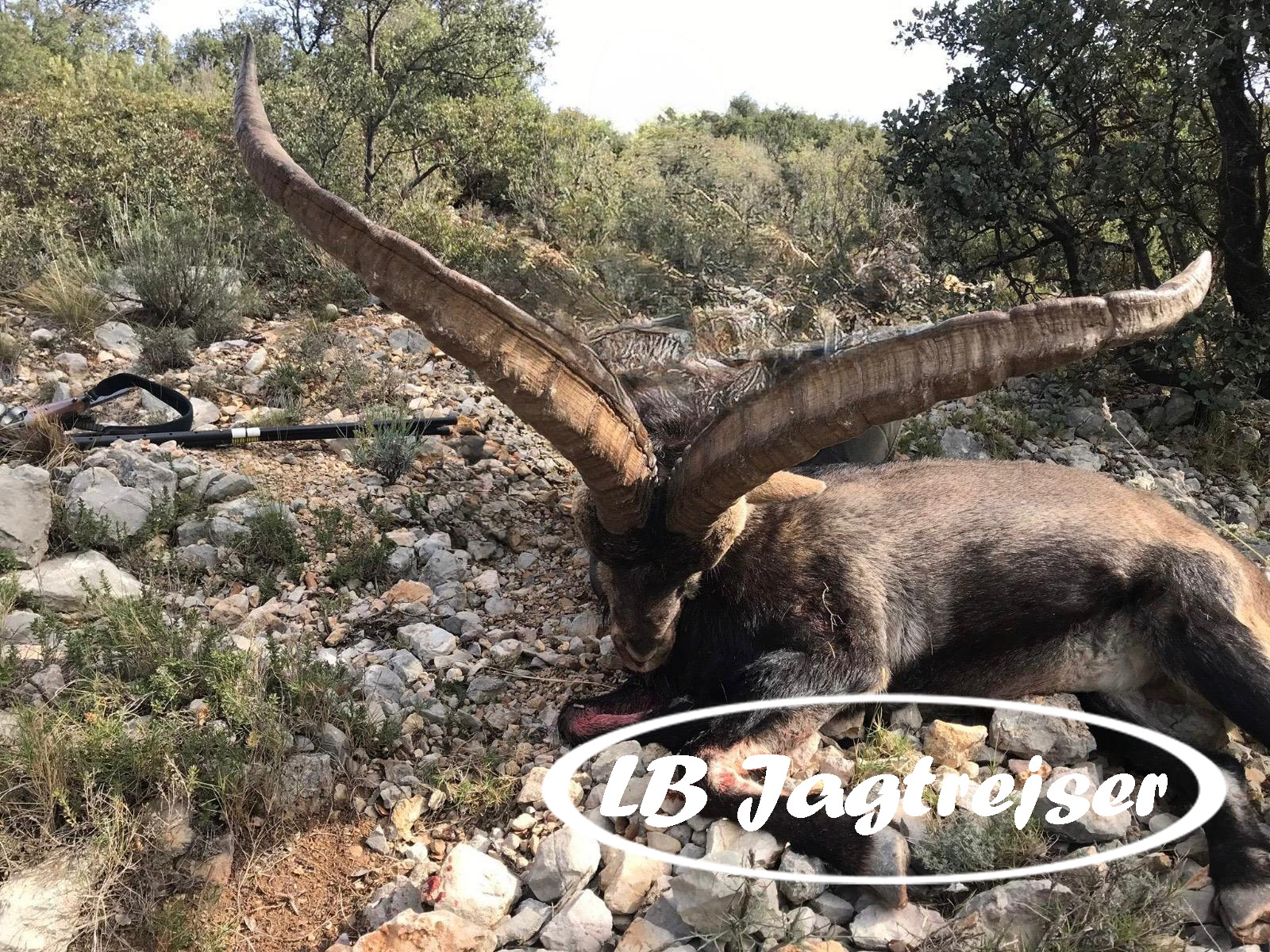 Her-Og-Nu Tilbud dkr. 33.495,- April/Maj 2026
SOLGT!